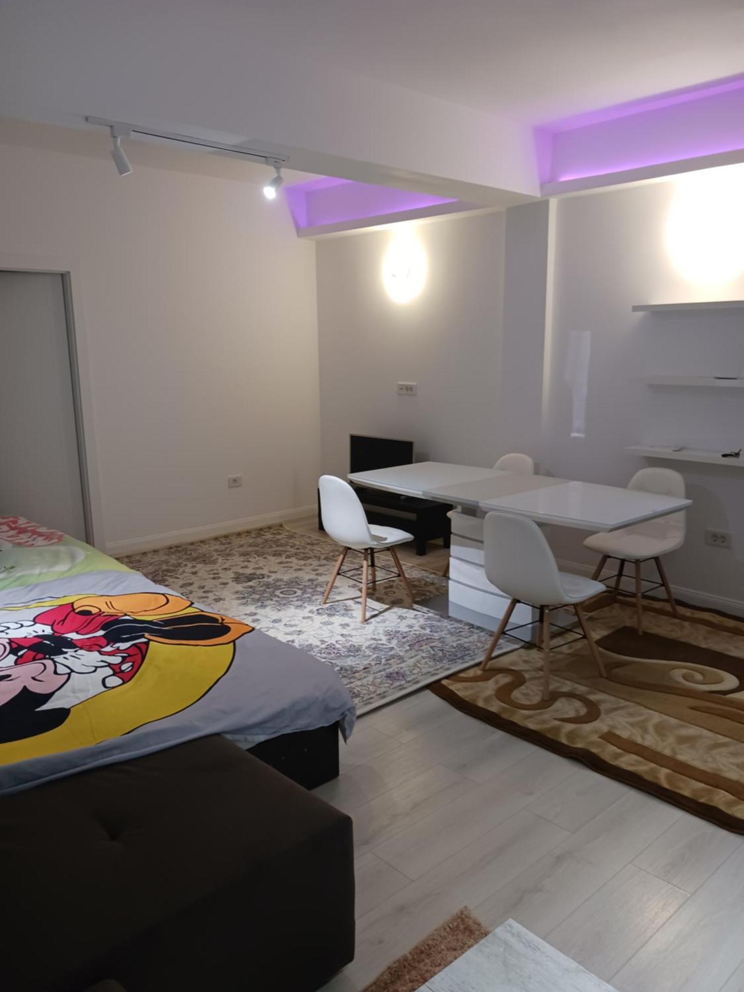 ブカレストMyky Mouse Nu Primesc Santieristi Si Petrecaretiアパートメント エクステリア 写真