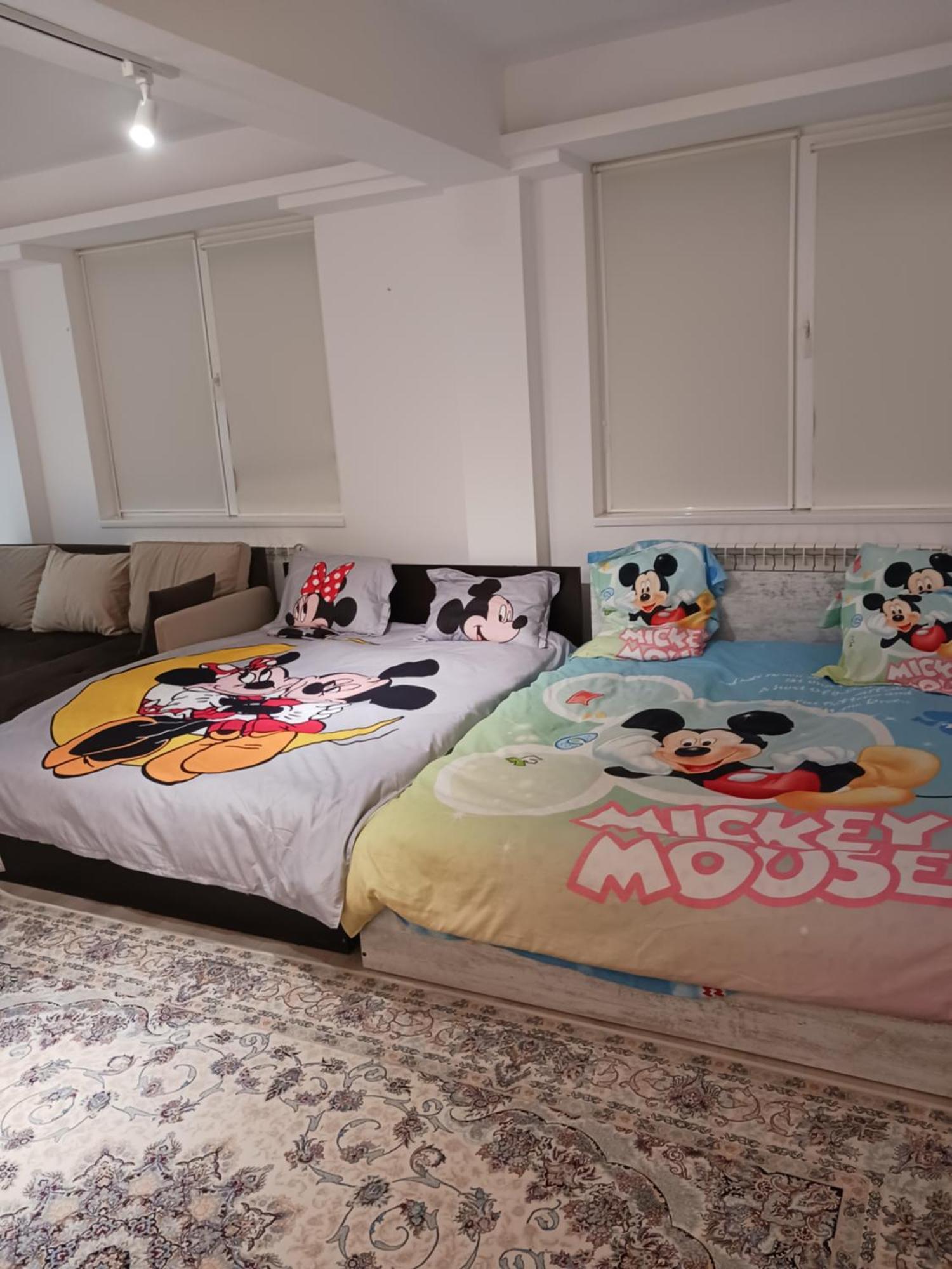 ブカレストMyky Mouse Nu Primesc Santieristi Si Petrecaretiアパートメント エクステリア 写真